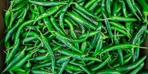 Fresh Green Chilli