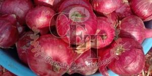 Fresh Red Onion