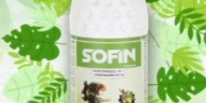 Sofin - Hexaconazole 4% + Carbendazim 16% Sc