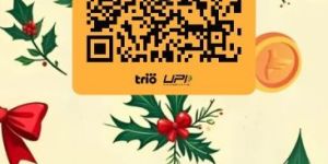 90mm Biomass Briquette