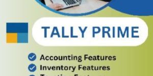 Tally Training Services