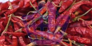 Dry Red Chilli