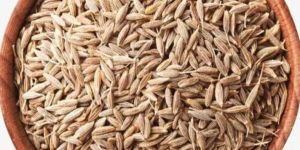 Cumin Seeds