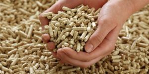 Biomass Pellet