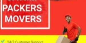 Packers Movers Boxes