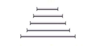 Ledger Rental Services