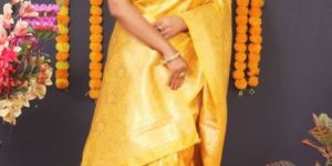 Banarasi Silk Sarees