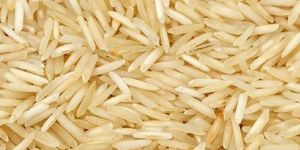 Basmati Rice
