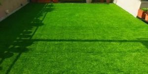Artificial Grass Carpet
