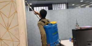 Pest Control Services