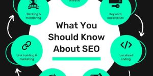 Best SEO Services in Jaipur