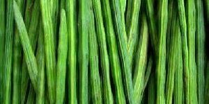 Fresh Drumsticks