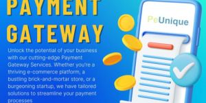 Payment Gateway Solutions