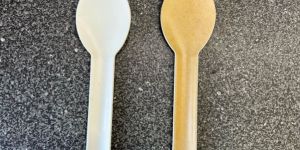 Bagasse Spoons