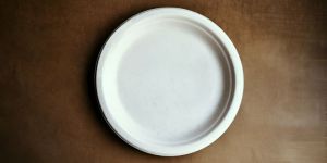 Disposable Paper Plates