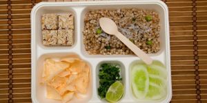 sugarcane waste disposable plates