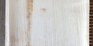 8 Inch Square Areca Palm Leaf Plate