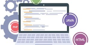 Website Optimization Service