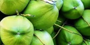 Fresh Tender Coconut