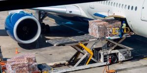 International Transportation