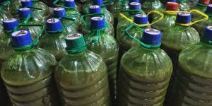indigenous organic fertilizer