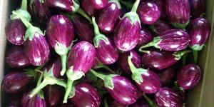 Fresh Brinjal