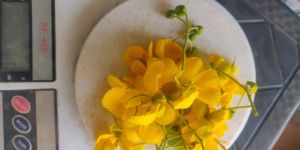 Avarampoo Fresh Flowers