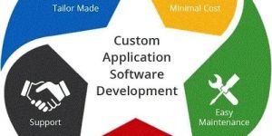 Application Software Development Services