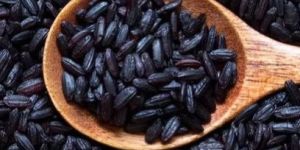 Black Rice