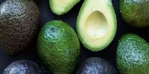 Fresh Avocado
