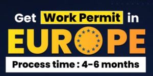 Work Permit Service