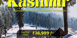 Kashmir Honeymoon Tour Packages