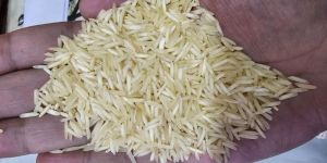 Alema 1401 Bamsalti Rice Full Length Basmati Rice
