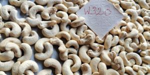 w320 Kaju Cashew Nut