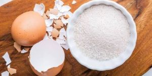 Egg Shell Powder