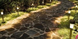Outdoor Solar Pathway Light