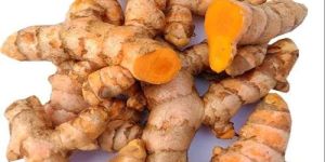 Natural Raw Turmeric Finger