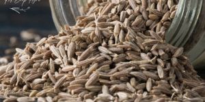 Cumin Seeds