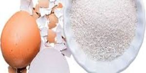 Pharma Grade Egg Shell Powder