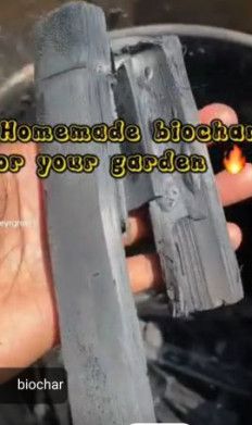 Biochar