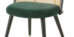 Upholstery Chair with Cane