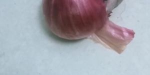 Fresh Red Onion