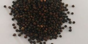 Black Pepper