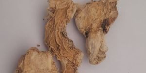 Dry Ginger
