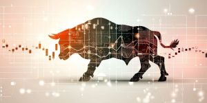 Forex Trading Training Service