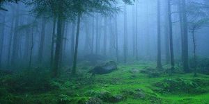 araku valley tour package