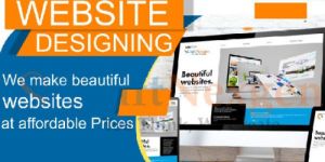 Website Development
