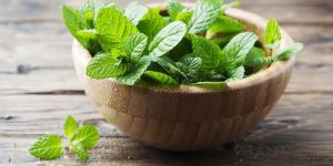 Natural Mint Leaves