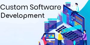 Custom Software Development