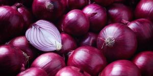 Fresh Red Onion